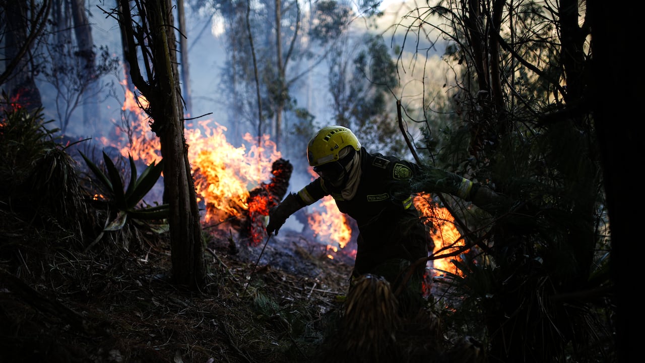Colombia atraviesa por una emergencia por cuenta de los incendios forestales.