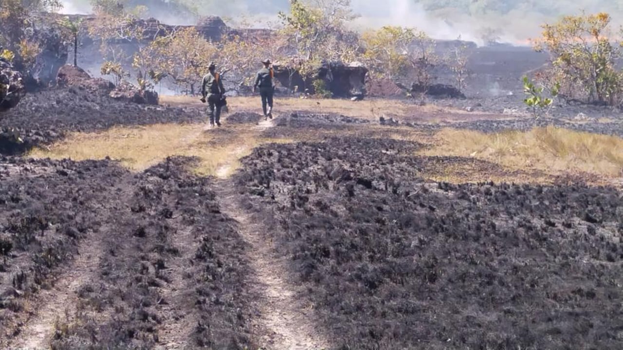 El Ministerio de Ambiente y Desarrollo sostenible lanzó una campaña ‘Sin fuego, cero incendios'.