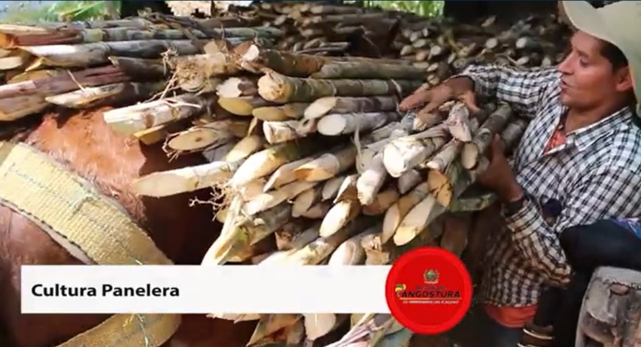 Angostura, Antioquia