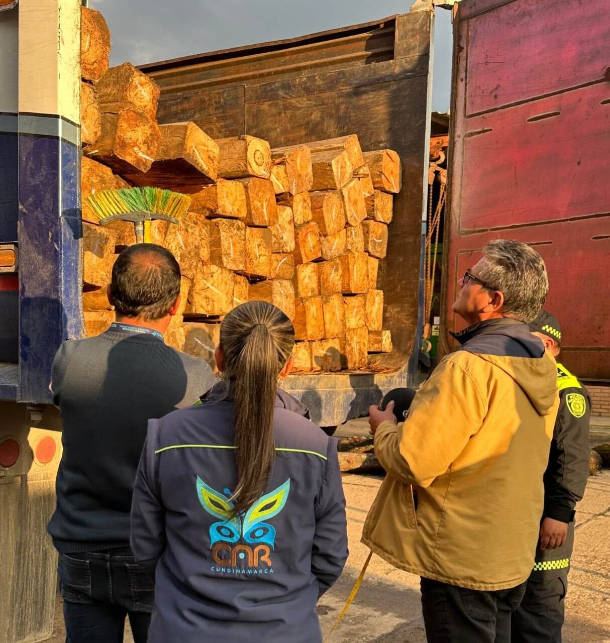 Los bloques de madera quedaron bajo la salvaguarda de la CAR