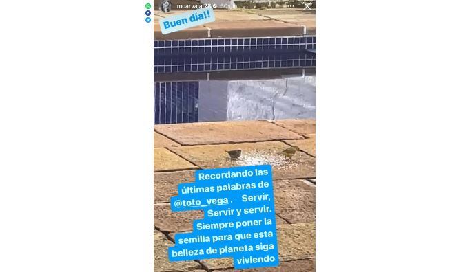 Marcela Carvajal historias