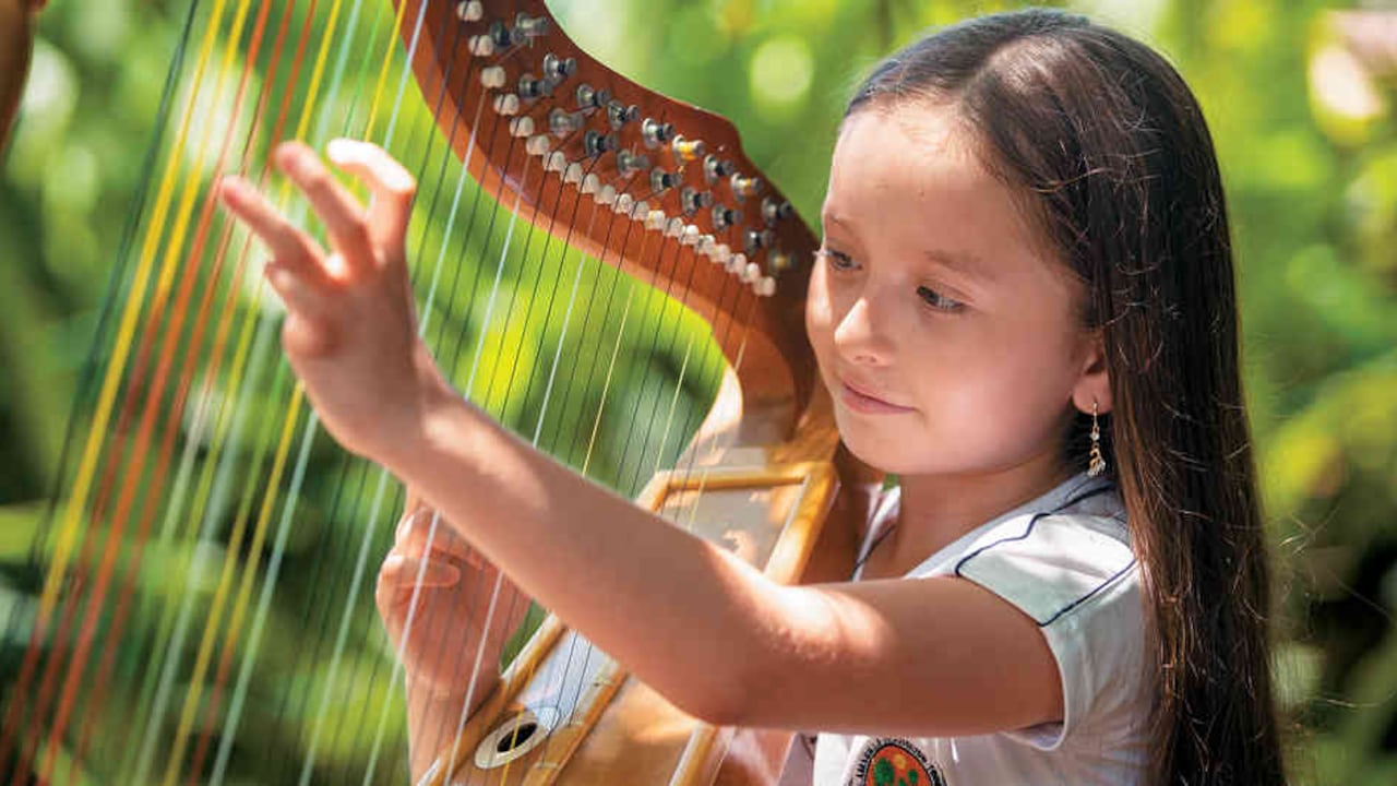 Las 32 cuerdas del arpa se clasifican en dos grupos: primas y bordones.