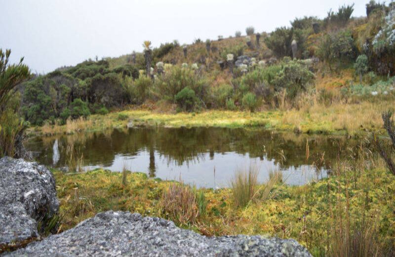 A lo largo del recorrido se pueden ver espejos de agua, cascadas y riachuelos. 