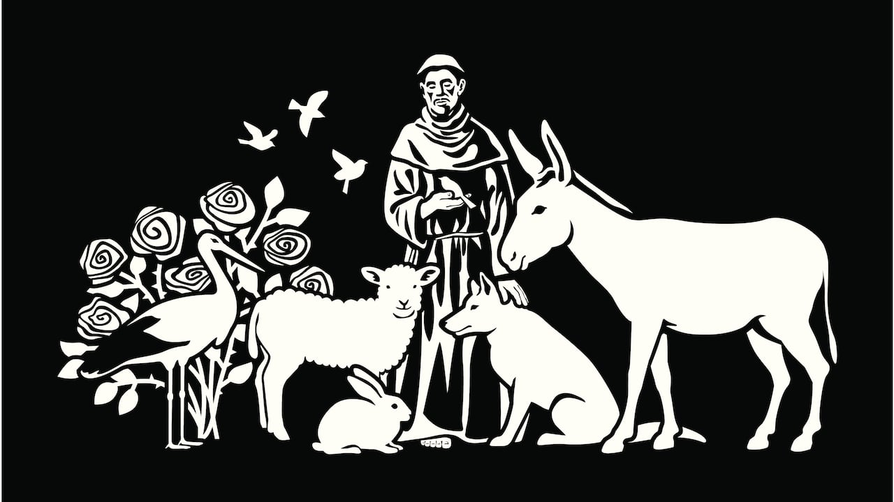 Ilustración de San Francisco de Asís.