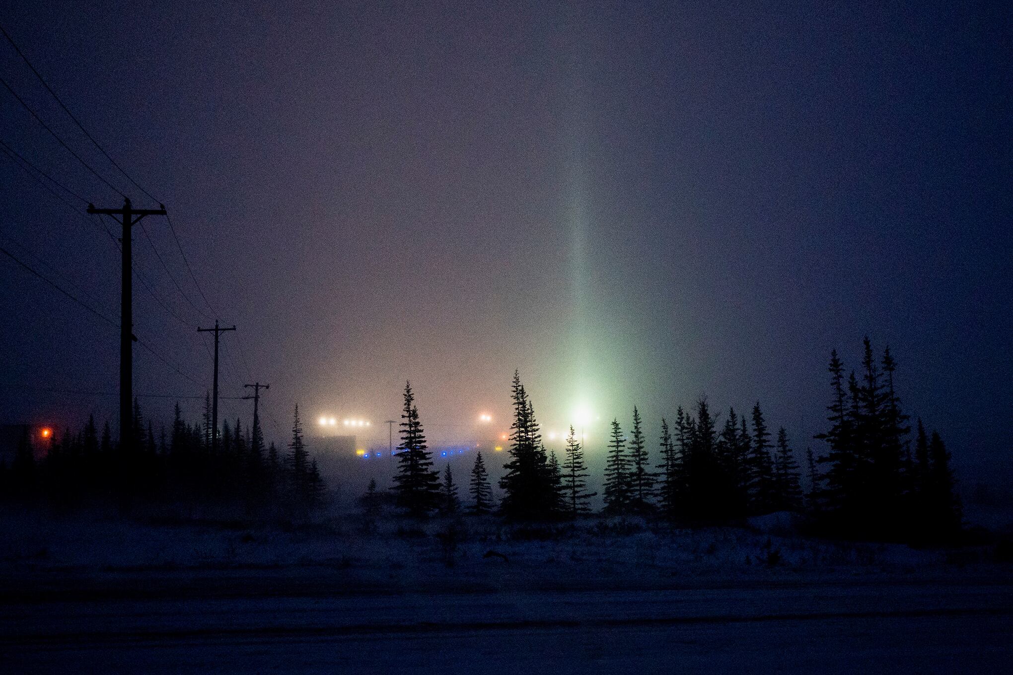 Donde los osos polares deambulan