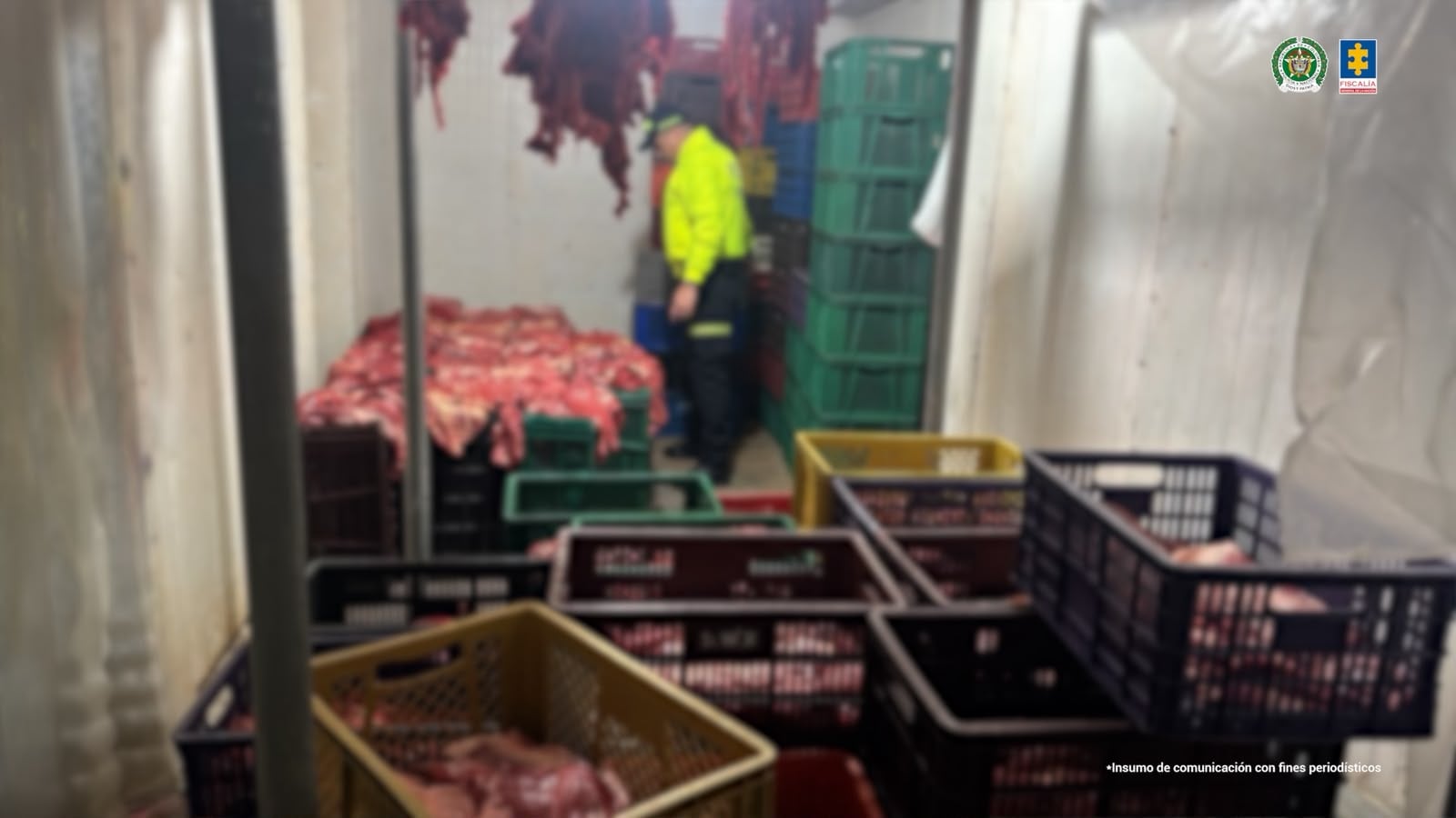 Red criminal inundó de carne de caballo establecimientos en Bucaramanga. La Fiscalía la desarticuló.
