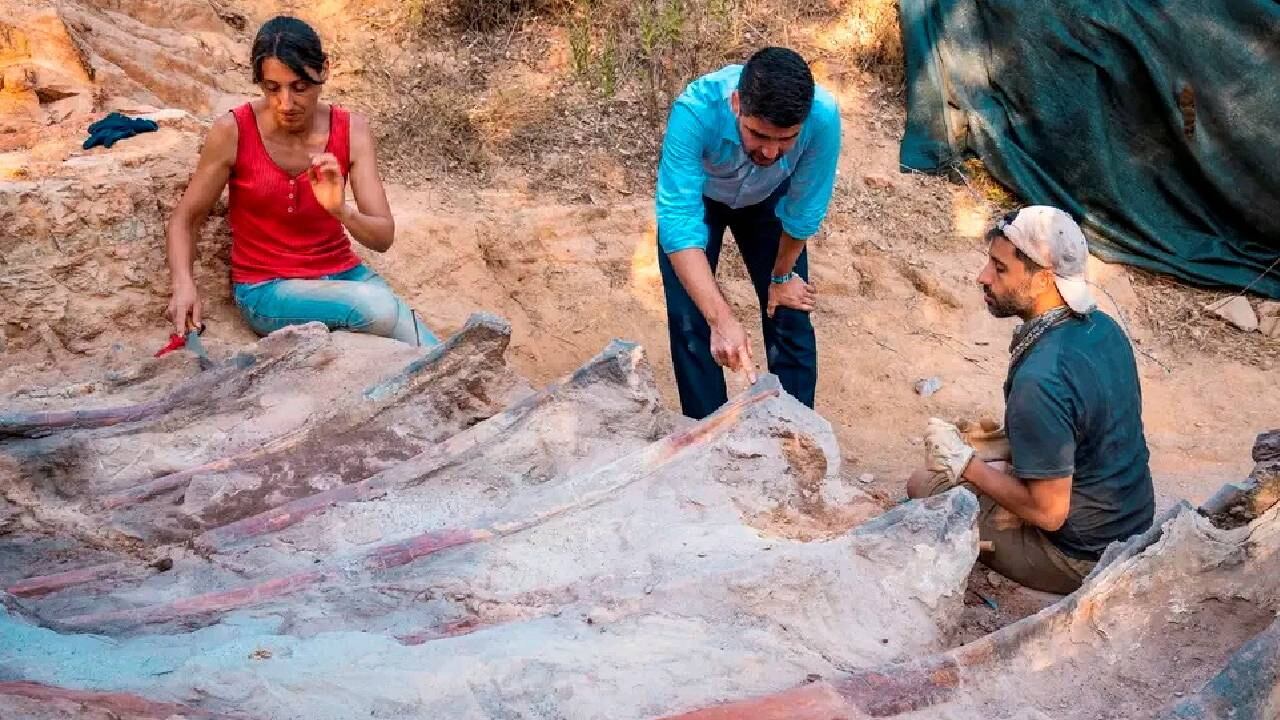 Trabajos de excavación de los restos de un dinosaurio saurópodo, en Pombal, Portugal. -Foto: Reuters. / Autor: Instituto Dom Luiz