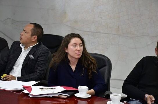 A pesar de que existen dos demandas en contra la elección de Mikhail Krasnov, en las que se señala que el ruso efectuó un contrato con la Universidad Pedagógica y Tecnológica de Colombia por prestación de servicios y que no contaría con la nacionalidad colombiana para ejercer este cargo, hasta el momento, ninguna ha determinado que Krasnov no pueda llegar a la Alcaldía de Tunja.