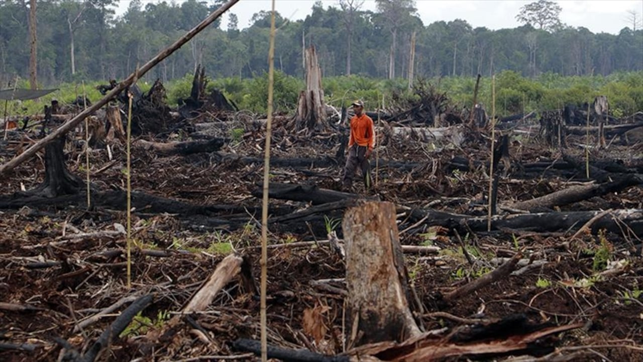 Archivo. Foto: Junaidi Hanafiah, cortesía de la Agencia Anadolu.