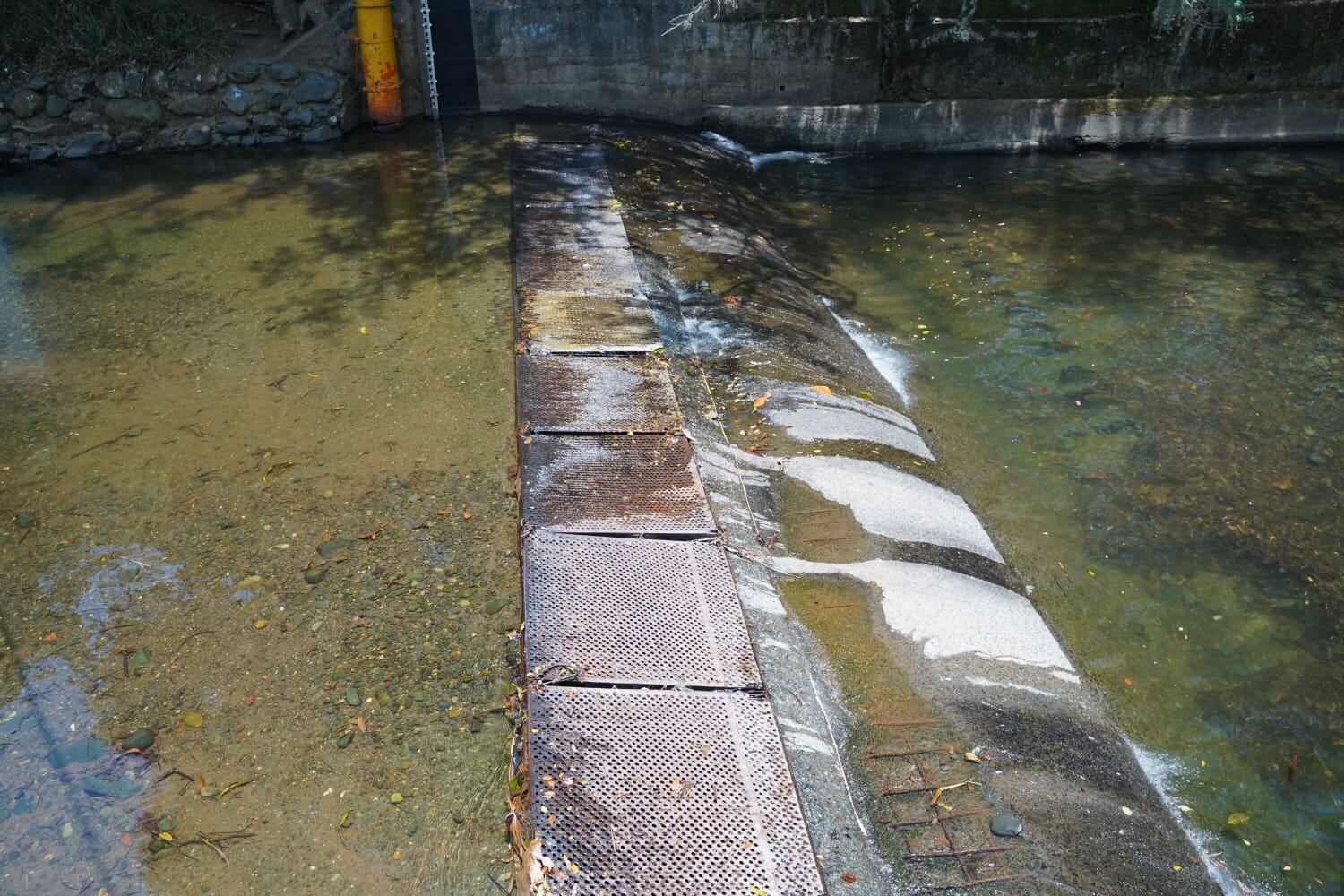 Preocupación por bajo caudal del río Cali.