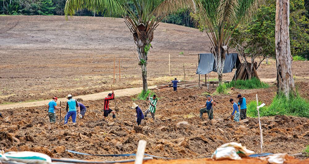 Los exFarc reconocen que varios insurgentes están pensando volver a las armas. 
