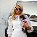 Paris Hilton