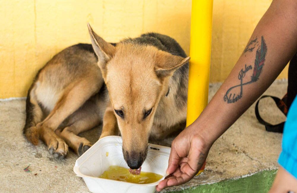 Foto: David Estrada Larrañeta