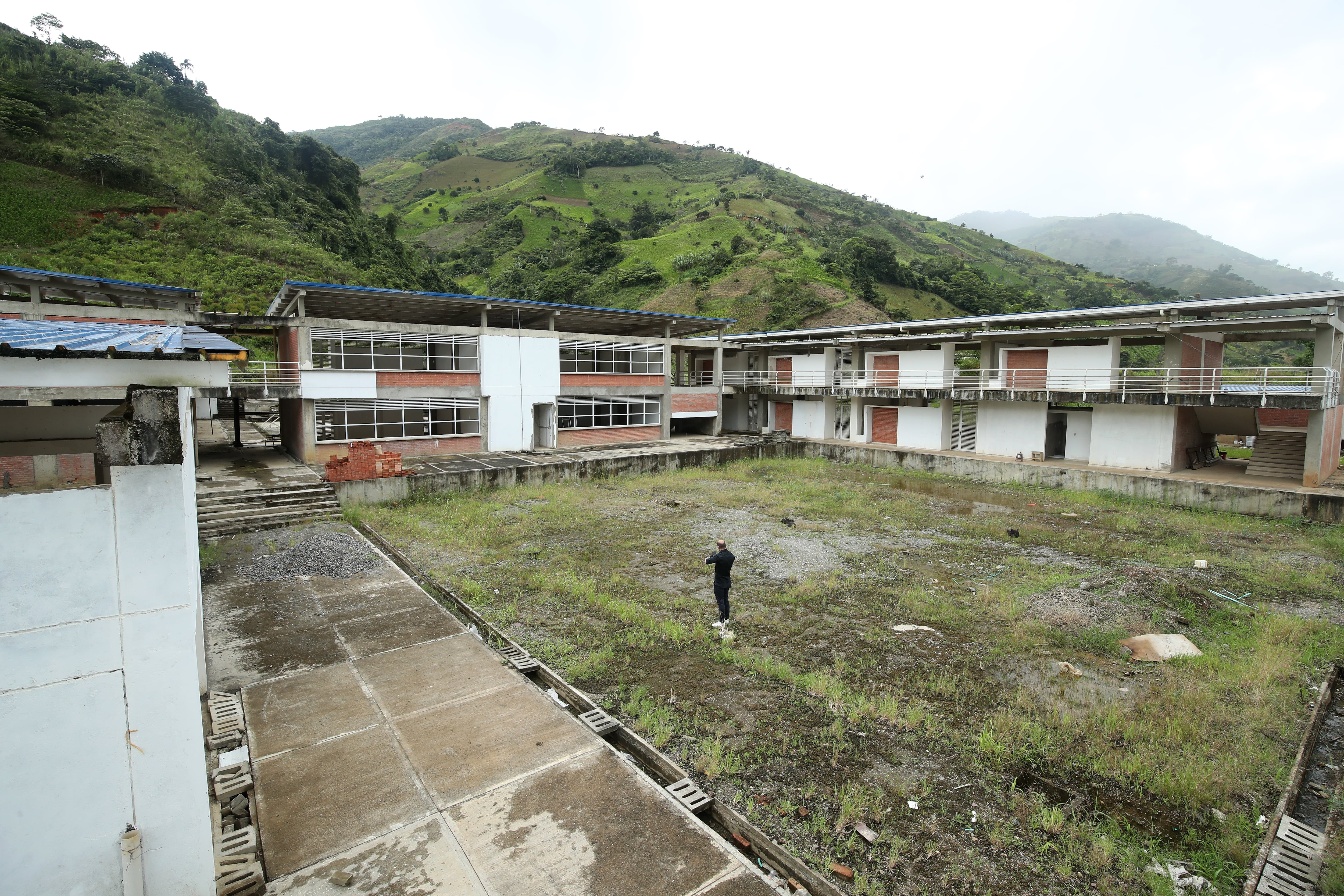 Coca y elefante banco