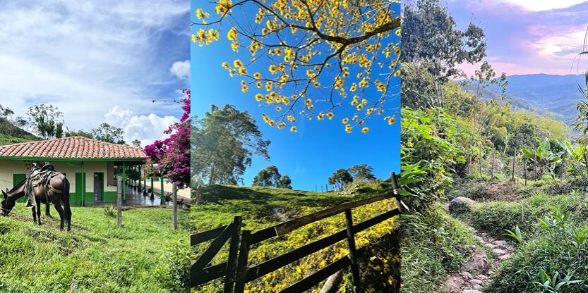 Angostura, Antioquia