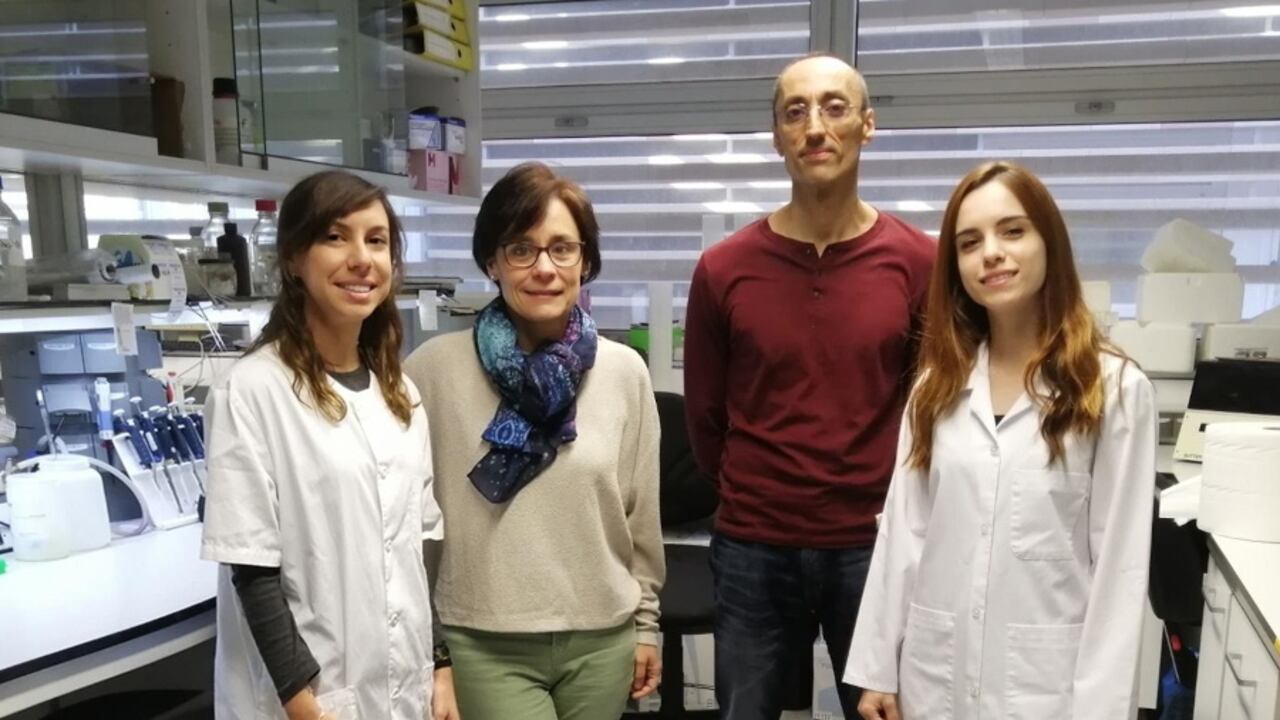 La investigación fue realizada por la Universidad de Lleida al noreste de España.