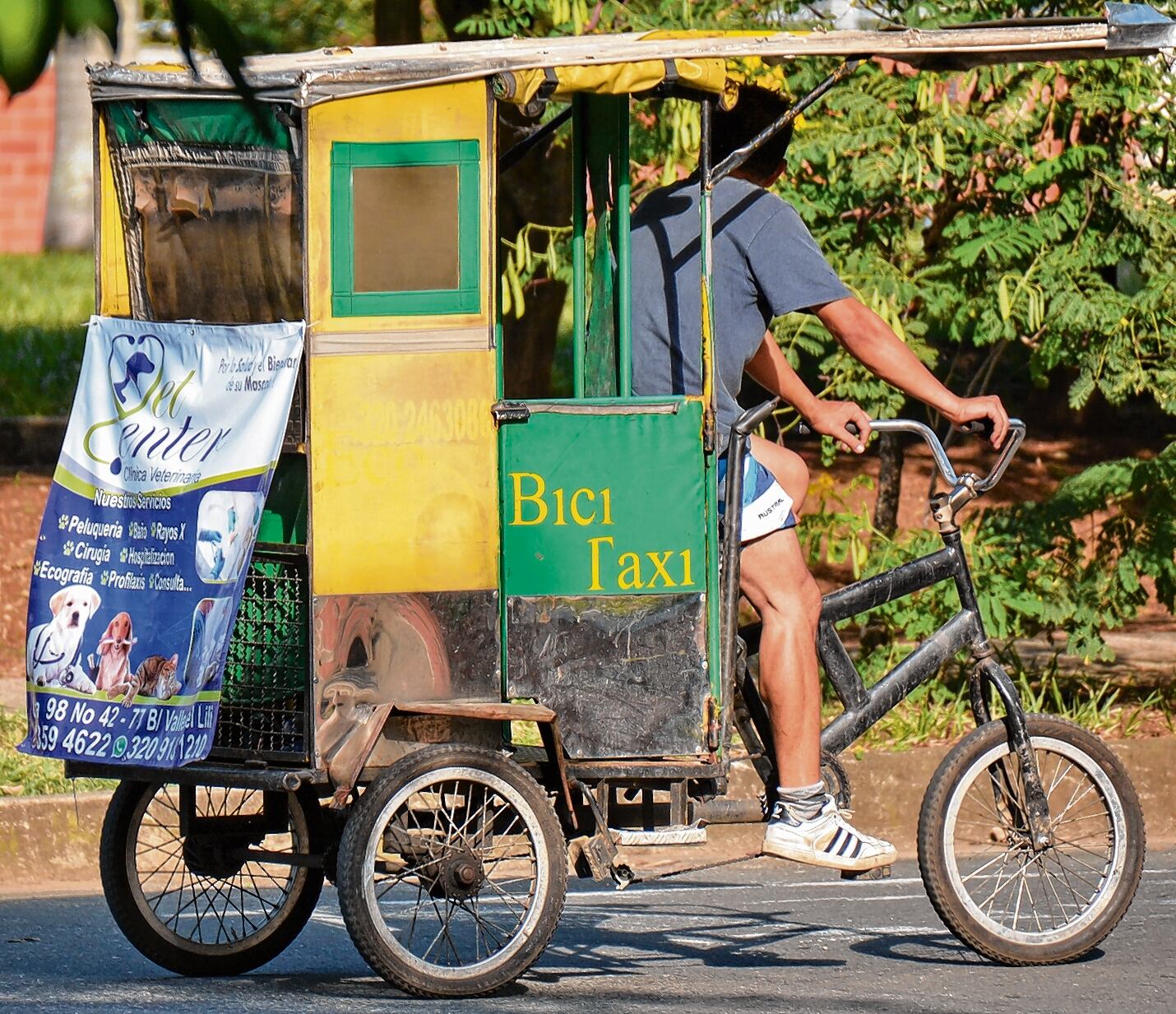 Los ‘bicitaxis’ operan  en las comunas 5, 11 y 17. Con la reglamentación se busca organizar este servicio y hacerlo seguro para los conductores, pasajeros y demás actores viales.