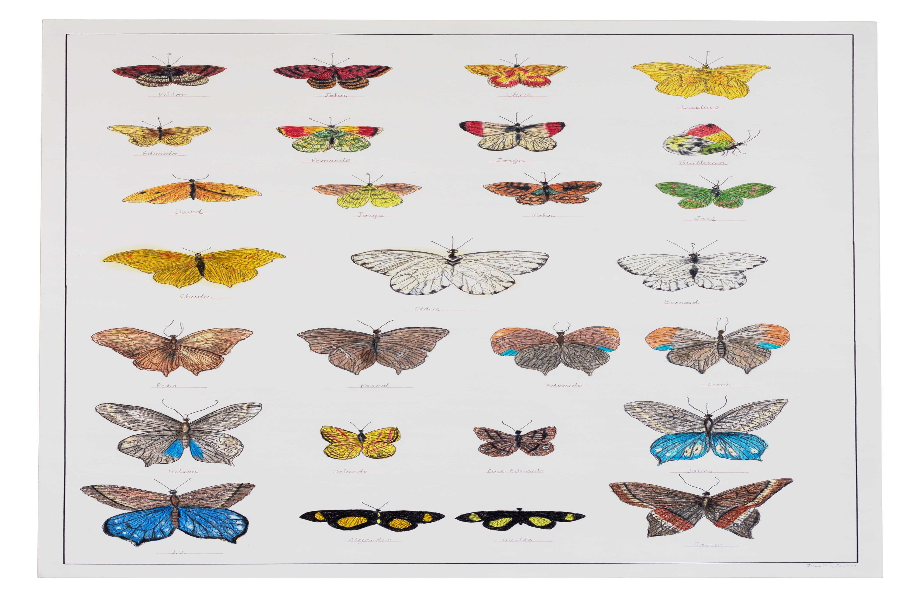 ‘Sin título’ (2009 – 2016). Juan Mejía. 100 x 70 cm. Tinta y lápices de colores sobre papel