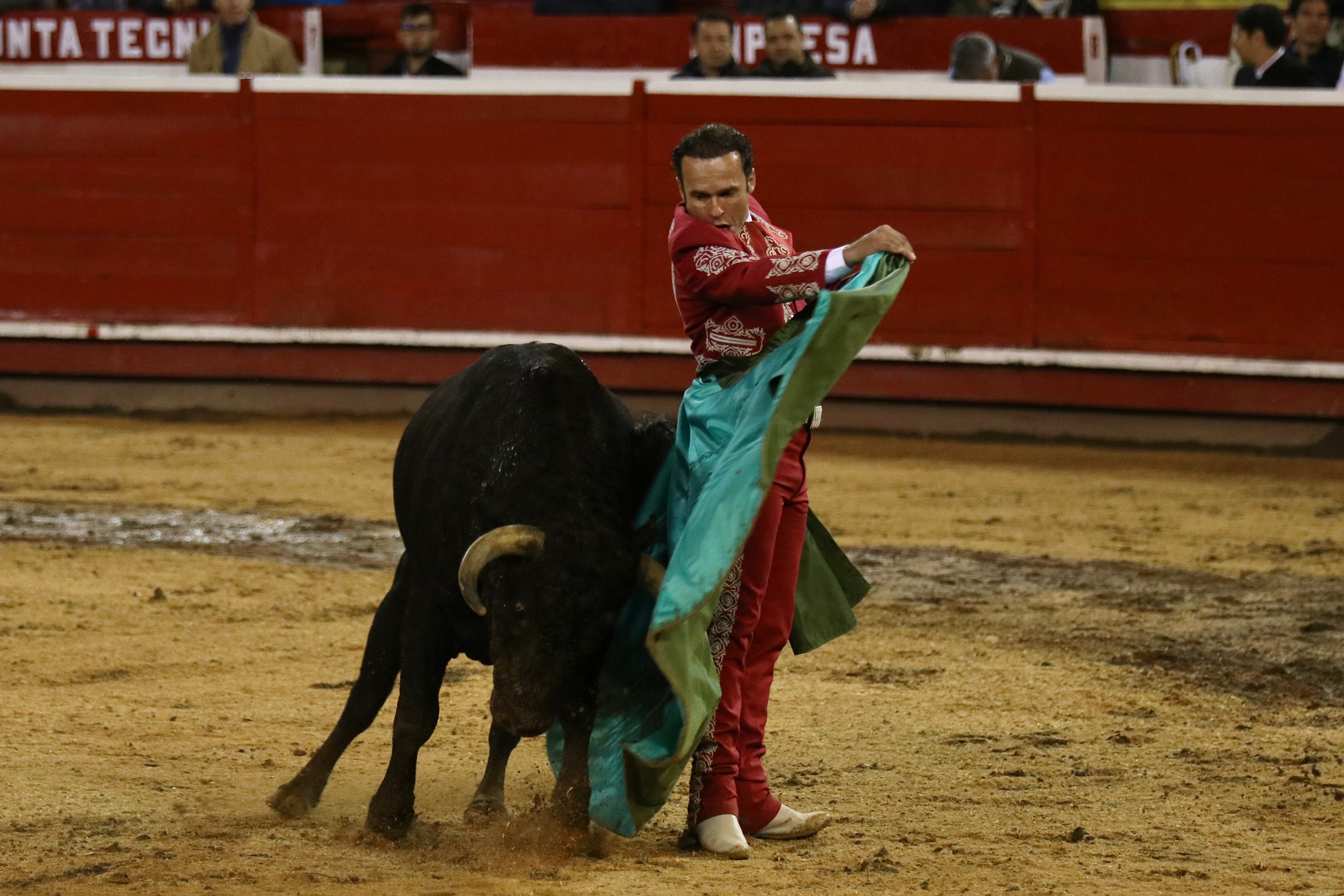 El torero español Antonio Ferrera deleitó a los espectadores con una faena de capa llena de sentimiento y torería.