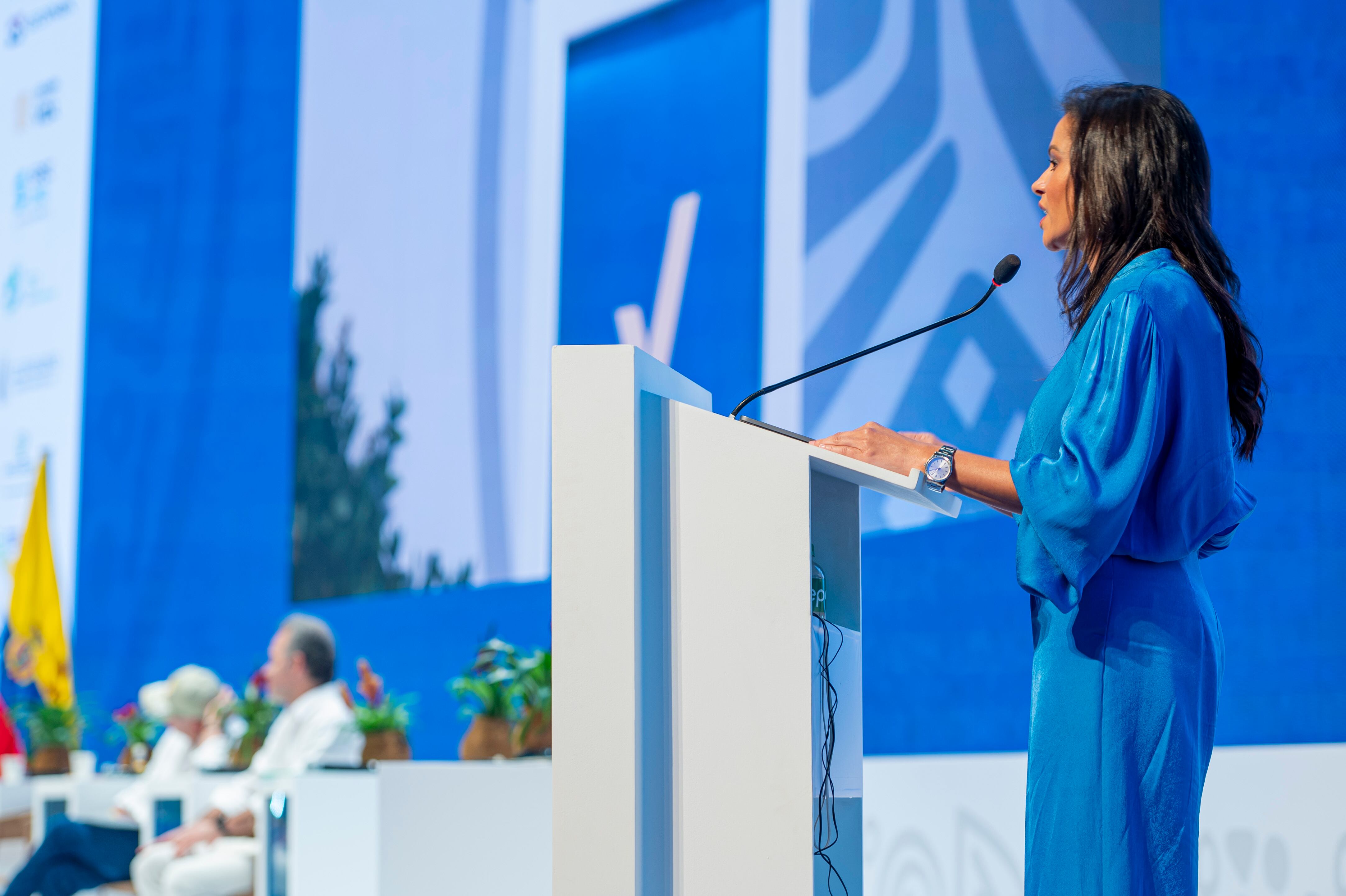 Luz Stella Murgas, presidente de Naturgas, hizo dura alerta al Gobierno Nacional.