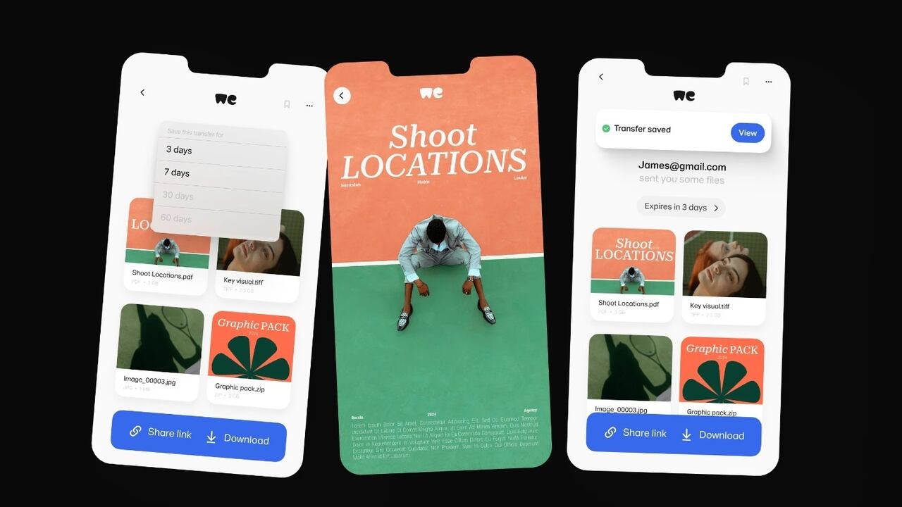 Función para ampliar el plazo de expiración de los enlaces
WETRANSFER
21/8/2024