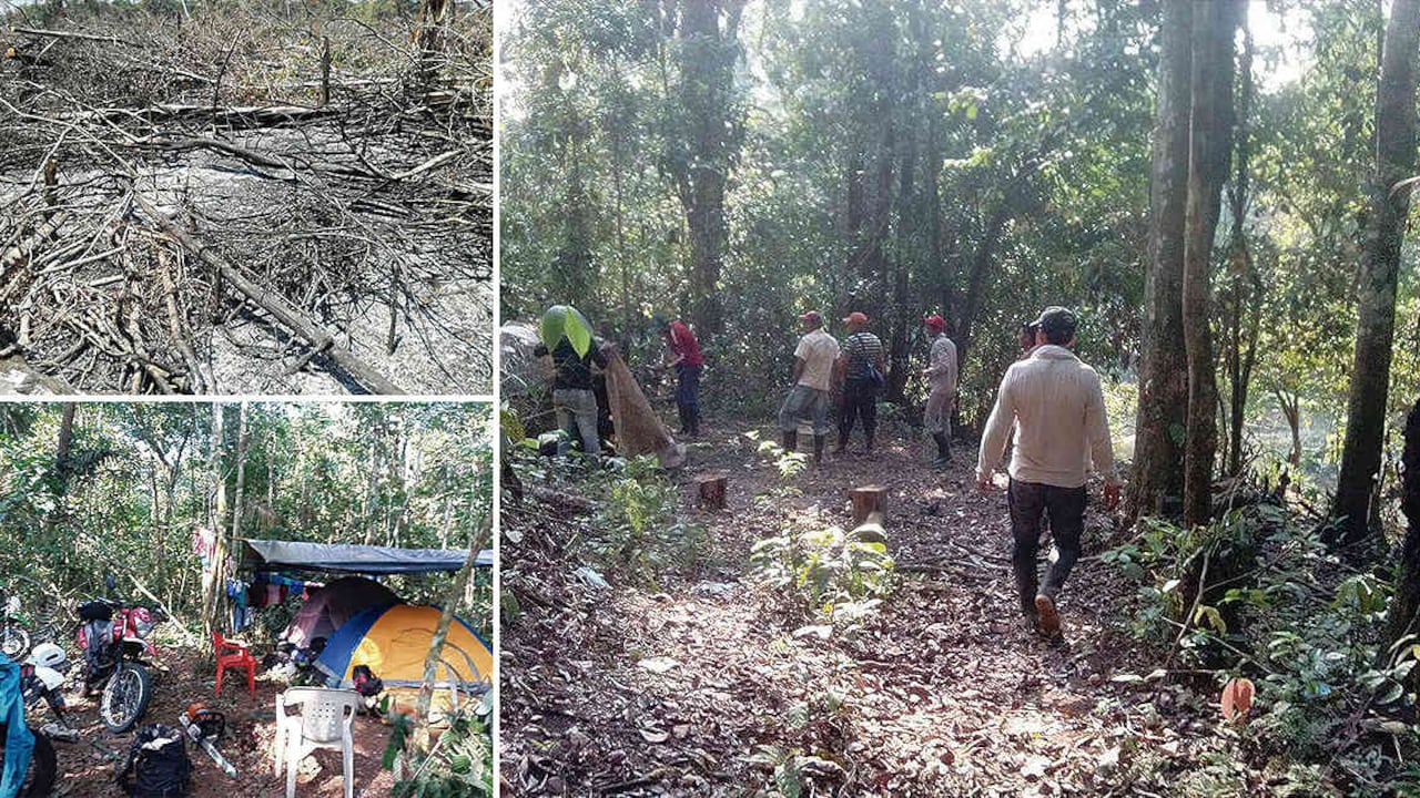 Decenas de campesinos están aprovechando el vacío de poder dejado por las Farc para ampliar la frontera agrícola a costa de la destrucción de la selva amazónica.