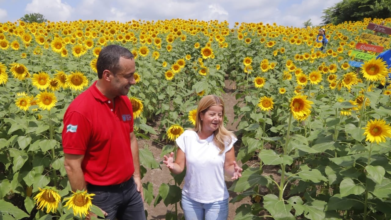 La Ruta del Girasol abrió sus puertas en en el municipio de Galapa