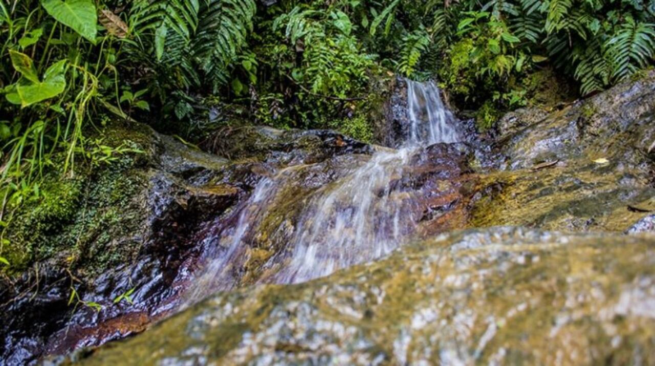 Reserva natural La Cristalina