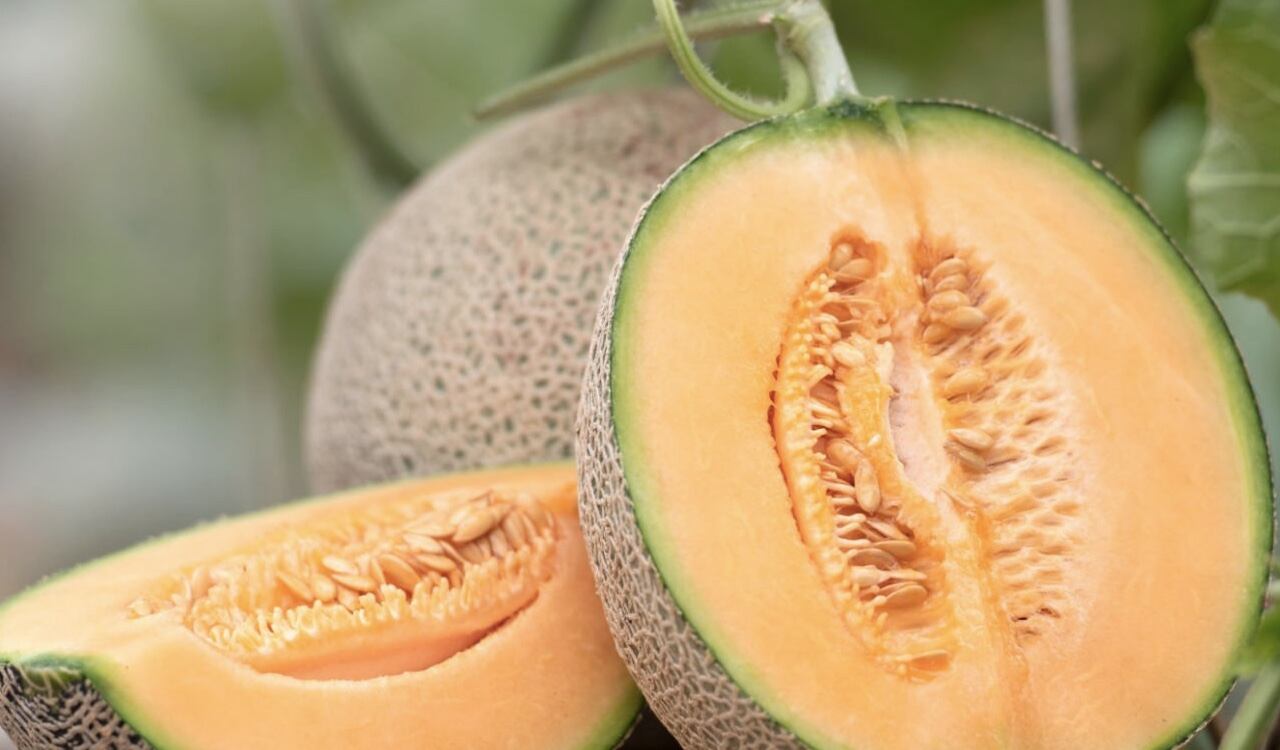 El melón es un excelente diurético natural