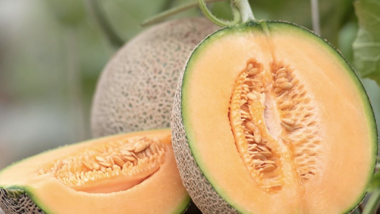 Las semillas del melón tiene muchas propiedades que ayudan al organismo.