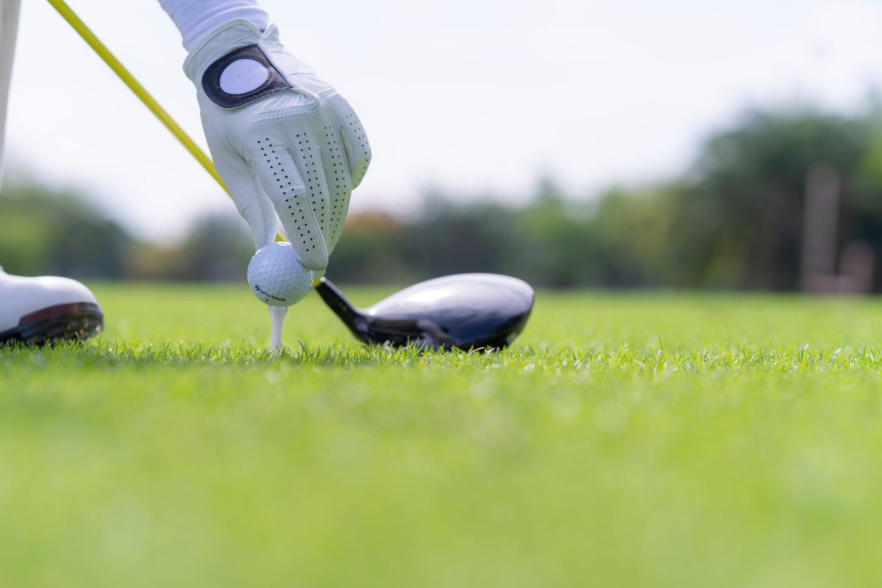 Los golfistas están acostumbrados a encontrarse con algunos animales de la fauna local, pero no con tiburones