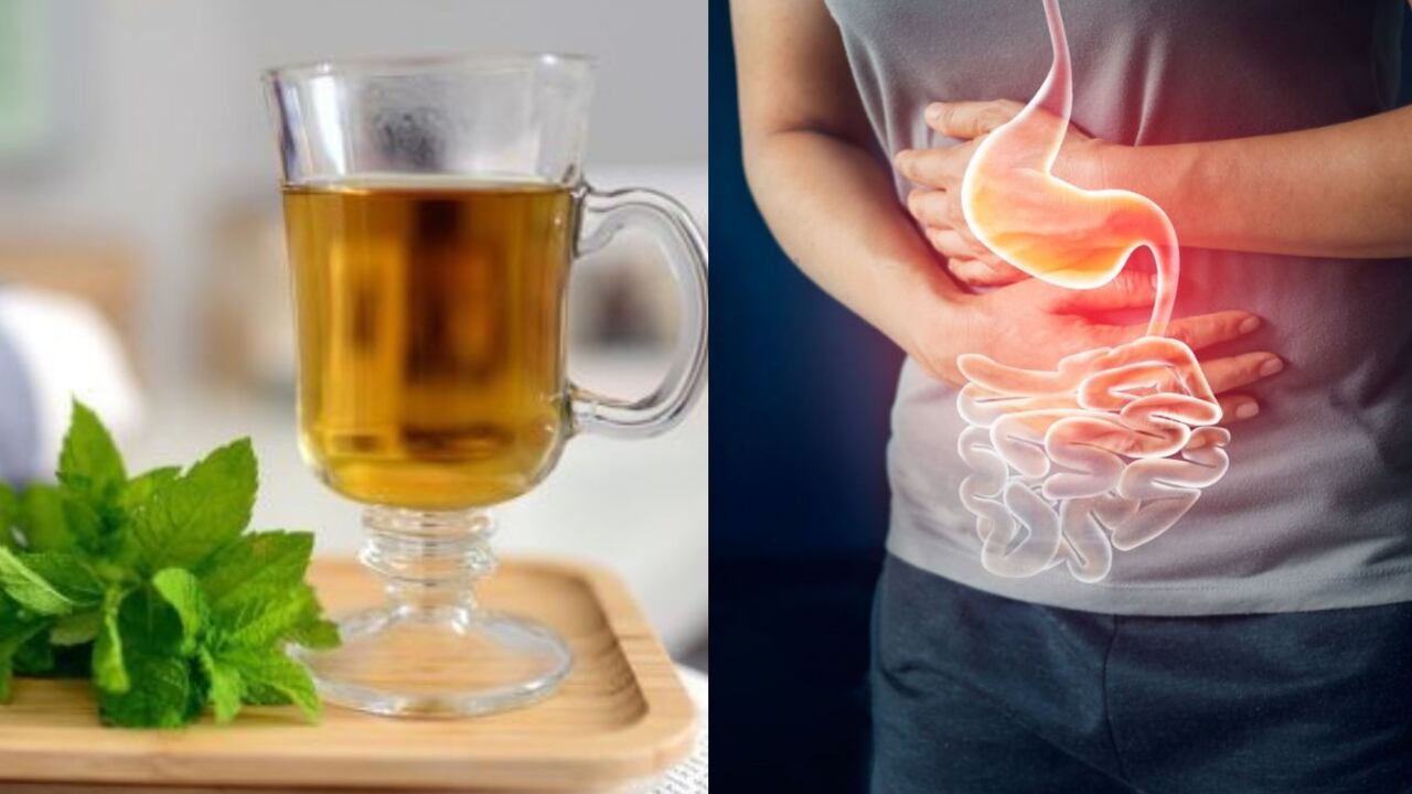 La hierba que combate los gases.