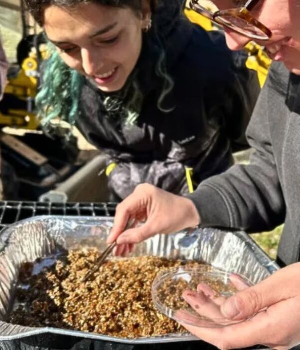 Encuentran restos de comida en Sicilia de mas de 20 siglos