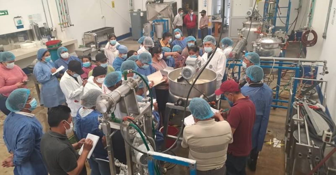 Producción de leche con indígenas