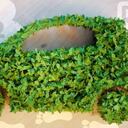 Algunos analistas son positivos respecto al hidrógeno, pero también prudentes. Foto: Getty Images