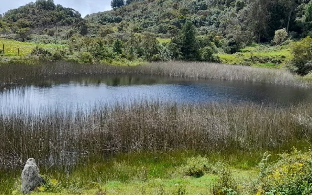 Laguna La Clara