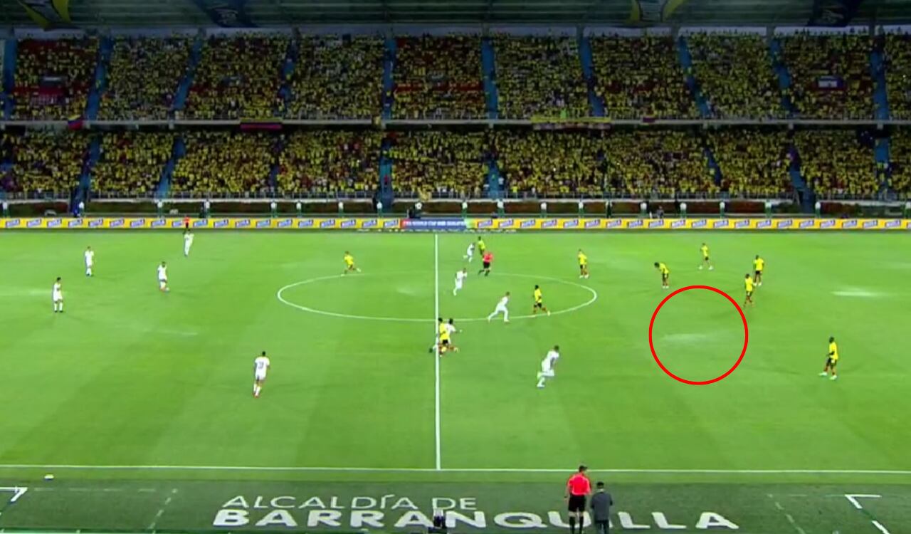 Al principio del juego la grama presentó manchas blancas a lo largo y ancho.