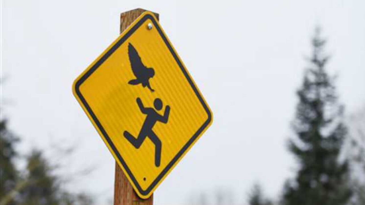 Al menos dos ataques han sido reportados en la localidad de Salem (Oregon).