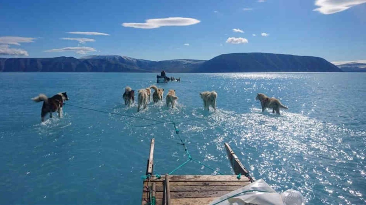 Al momento de la foto Olsen realizaba una misión de rutina en el noroeste de la isla.