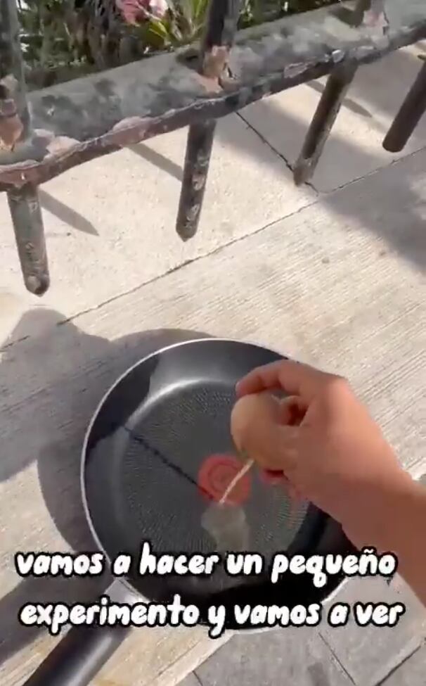 El joven colombiano Francisco Javier Vera realizó un experimento para dejar claro el impacto de la ola de calor en Europa.