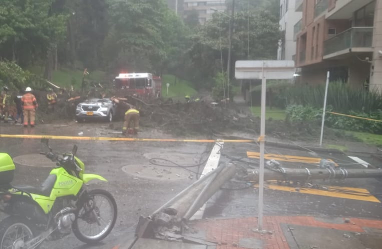 Las autoridades también reportaron la caída de un poste en el mismo sitio.