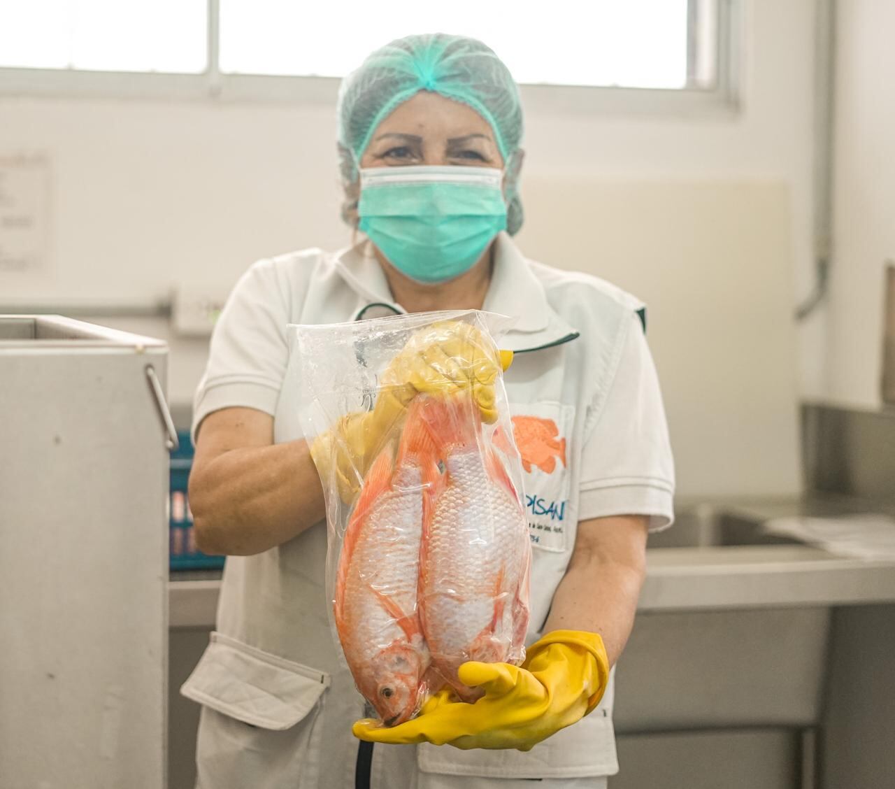 Colombia ha logrado un aumento en
las intenciones de exportaciones de productos pesqueros,