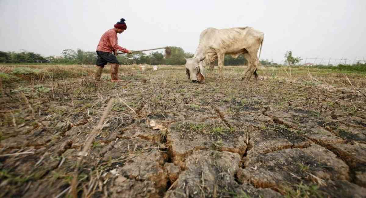 El impacto del Fenómeno del Niño ya se siente en Colombia. Foto: archivo/Semana.  