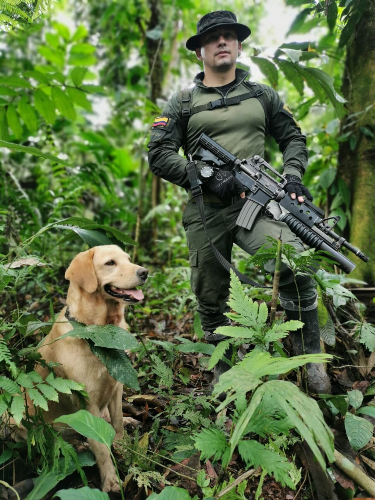 Cami, perro antinarcóticos Policía Nacional