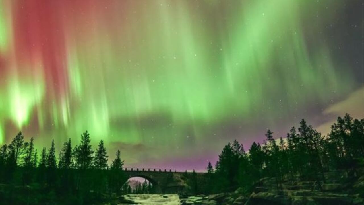 Pasos para viajar de Colombia a Suecia