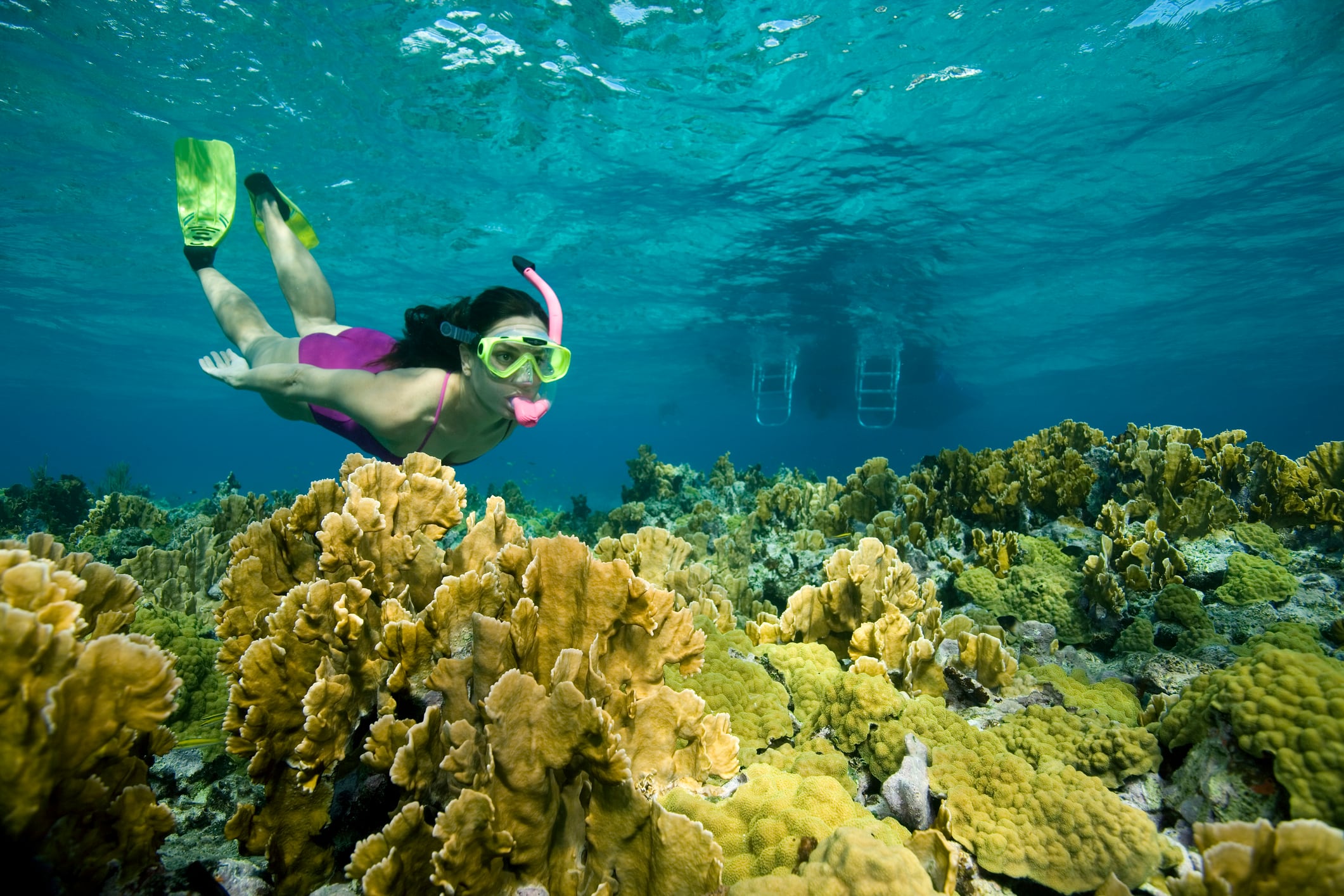 El snorkel, una de las actividades para hacer en Bahía Concha.