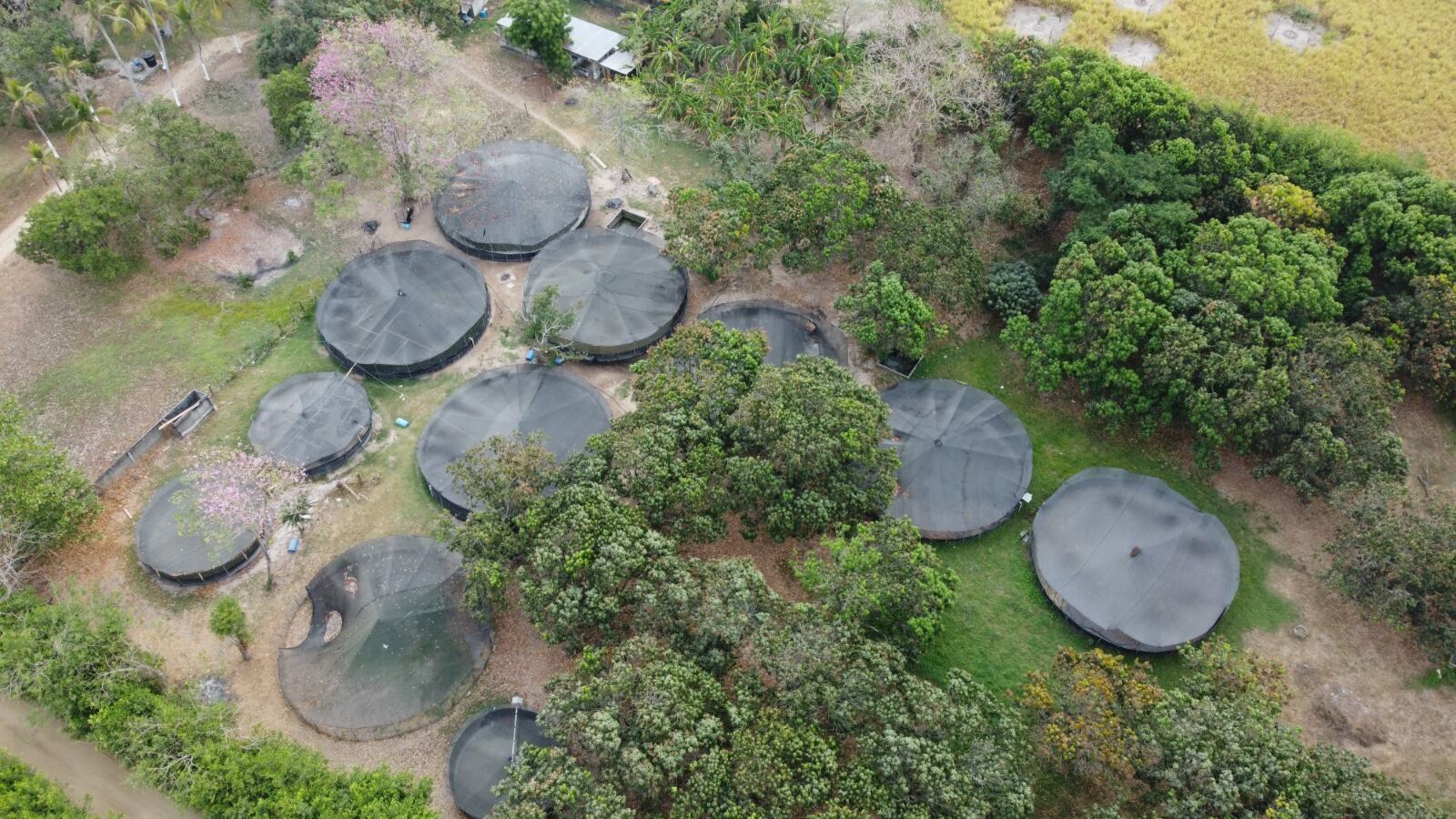 La finca está ubicada en el municipio de Polonuevo, Atlántico.