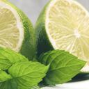 El poder del limón se potencializa al mezclarlo en infusión con la menta