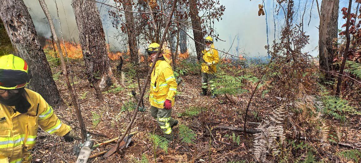 Incendio en los cerros orientales de Bogotá