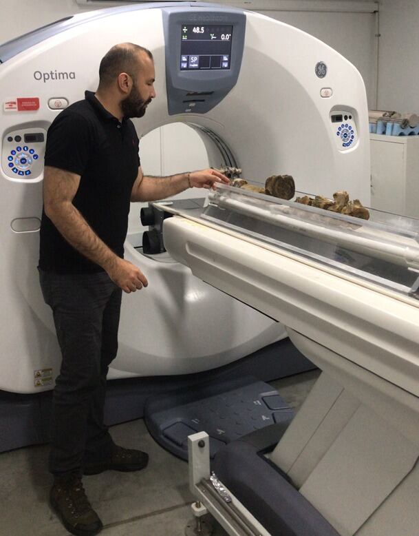 El hallazgo se realizó en la región de Zapatoca, Santander, y se convierte en el registro más antiguo de pliosáuridos reportado hasta el momento en el país.